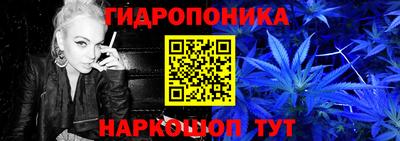 СК Донской