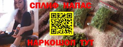 СК Донской