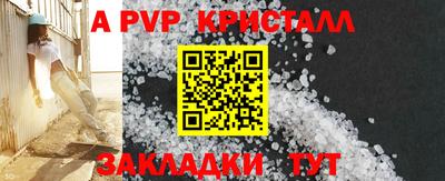 СК Донской